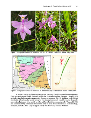 page from Flora of northern Alabama, Daniel D. Spaulding et al., 2023