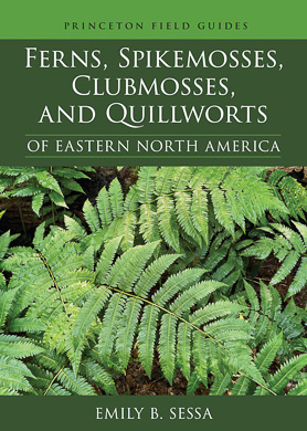 bookcover Ferns, Spikemosses, Clubmosses, and Quillworts by Emily Sessa